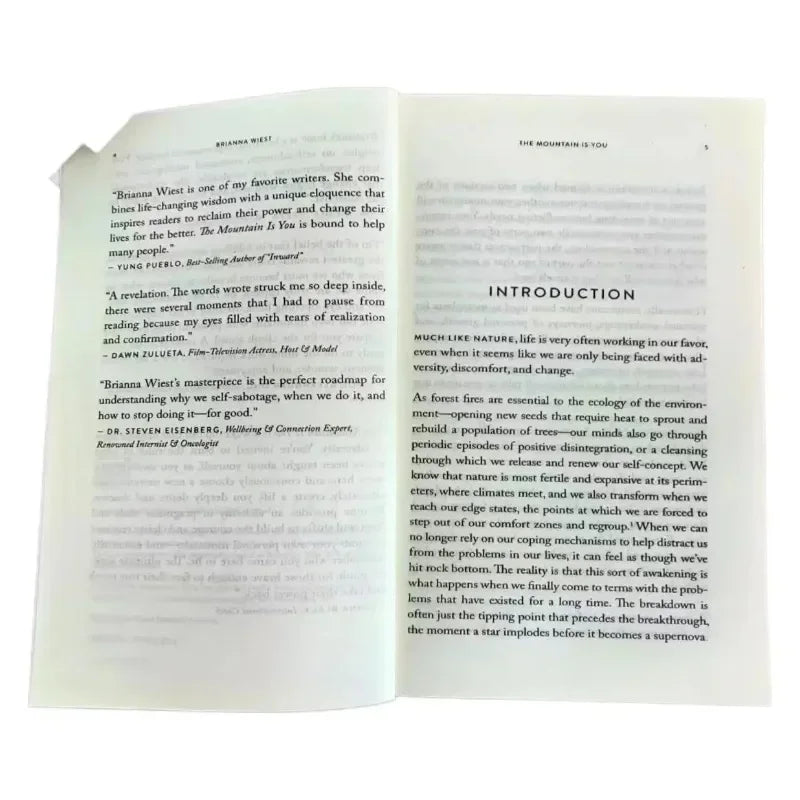 The Mountain Is You: Transforming Self-Sabotage Into Self-mastery English Book