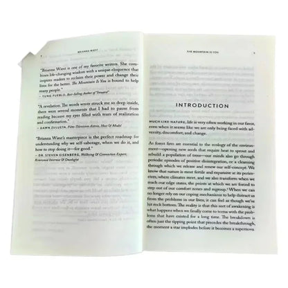 The Mountain Is You: Transforming Self-Sabotage Into Self-mastery English Book