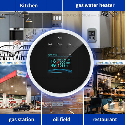 Wifi Natural Gas Leakage Detector Sensor Smart Alarm Fire Security Digital LED Airbnb B&B Hotels