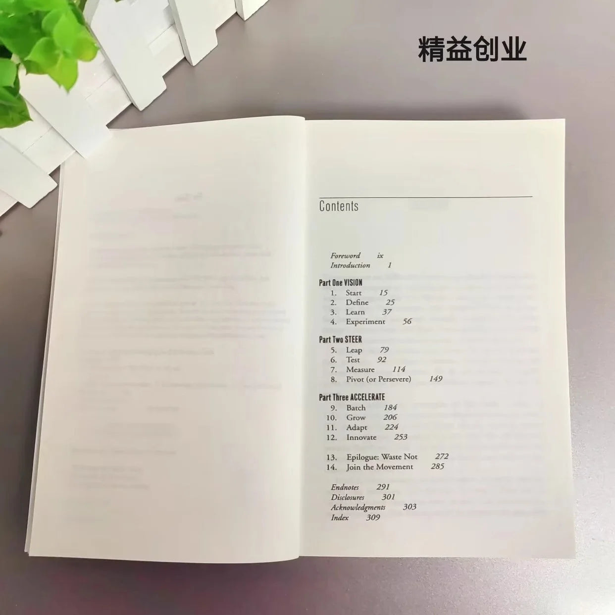 The Lean Startup By Eric R. Business English Book