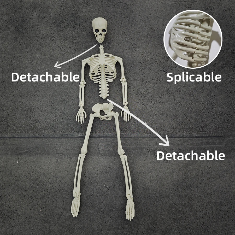 Halloween Decoration Horror Scary 90CM Halloween Skeleton Halloween Ornament