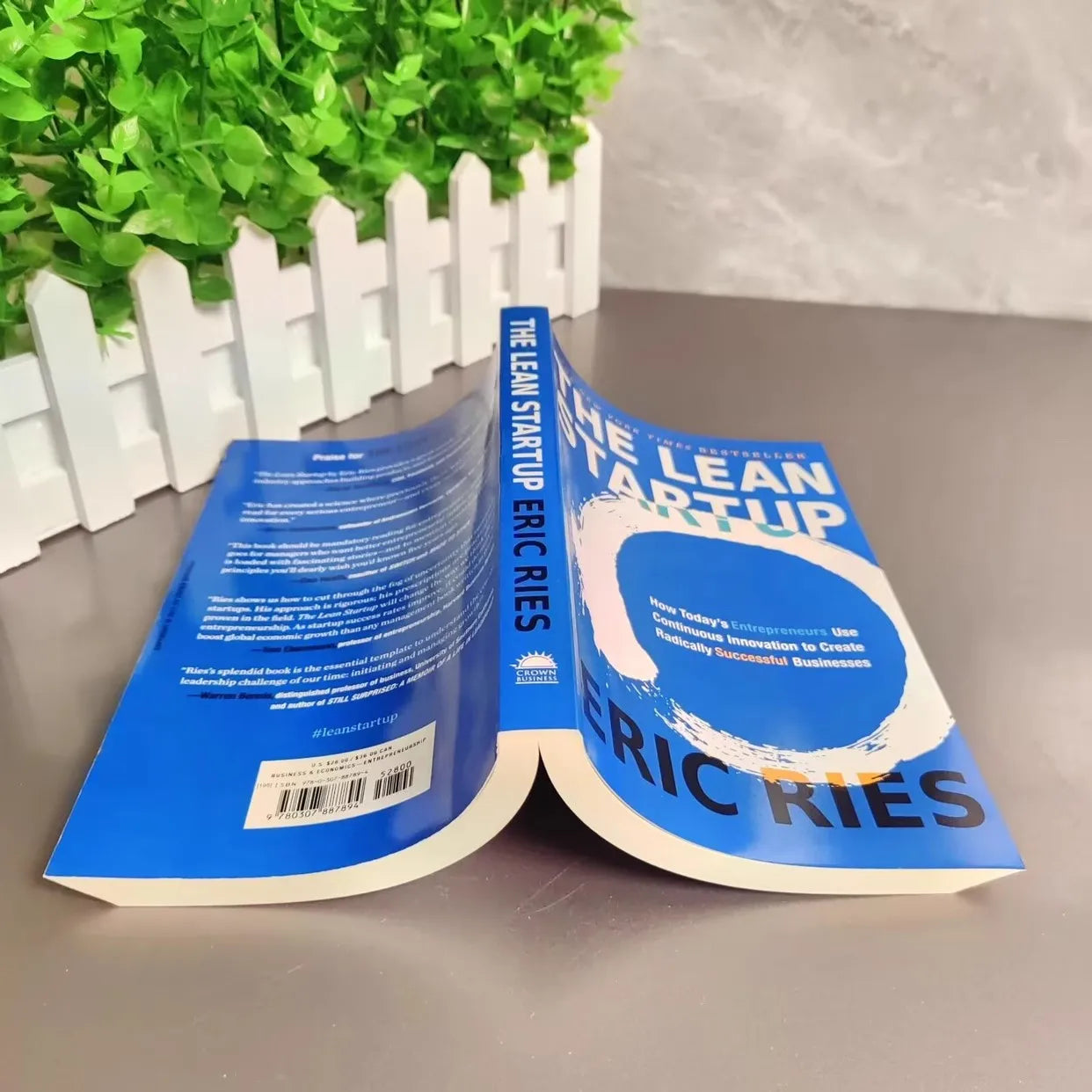 The Lean Startup By Eric R. Business English Book