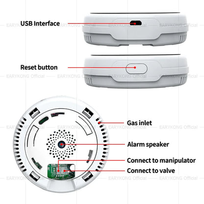 Wifi Natural Gas Leakage Detector Sensor Smart Alarm Fire Security Digital LED Airbnb B&B Hotels